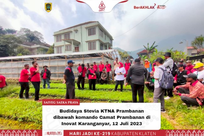 budi daya stevia KTNA Prambanan..dibawah komando Camat Prambanan di Inovat Karanganyar tgl 12 Juli'23
