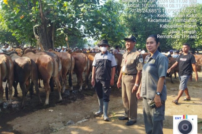 KEGIATAN PEMANTAUAN STOK HEWAN KURBAN MENJELANG HARI RAYA IDUL ADHA 2024
