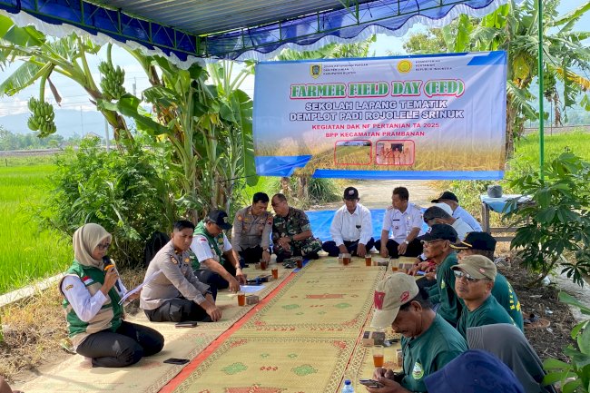 FARMER FIELD DAY (FFD)SEKOLAH LAPANG TEMATIK DEMPLOT PADI ROJOLELE SRINUK