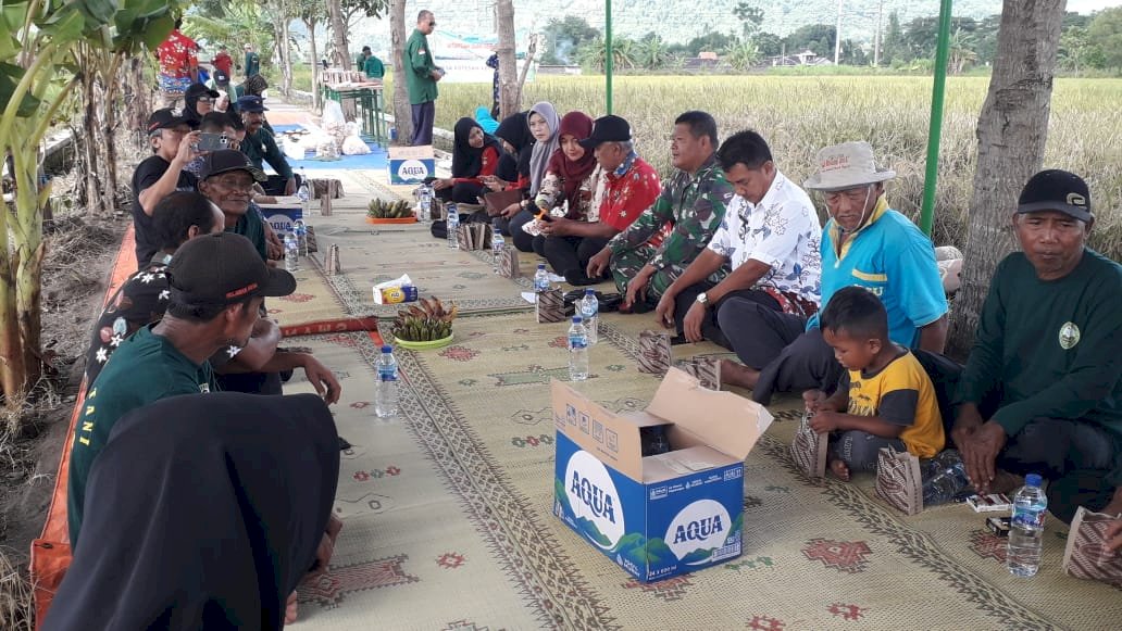 Kegiatan Wiwitan foktannSetyo Makmur II dan Serap Gabah dengan Bulog di Desa Kotesan