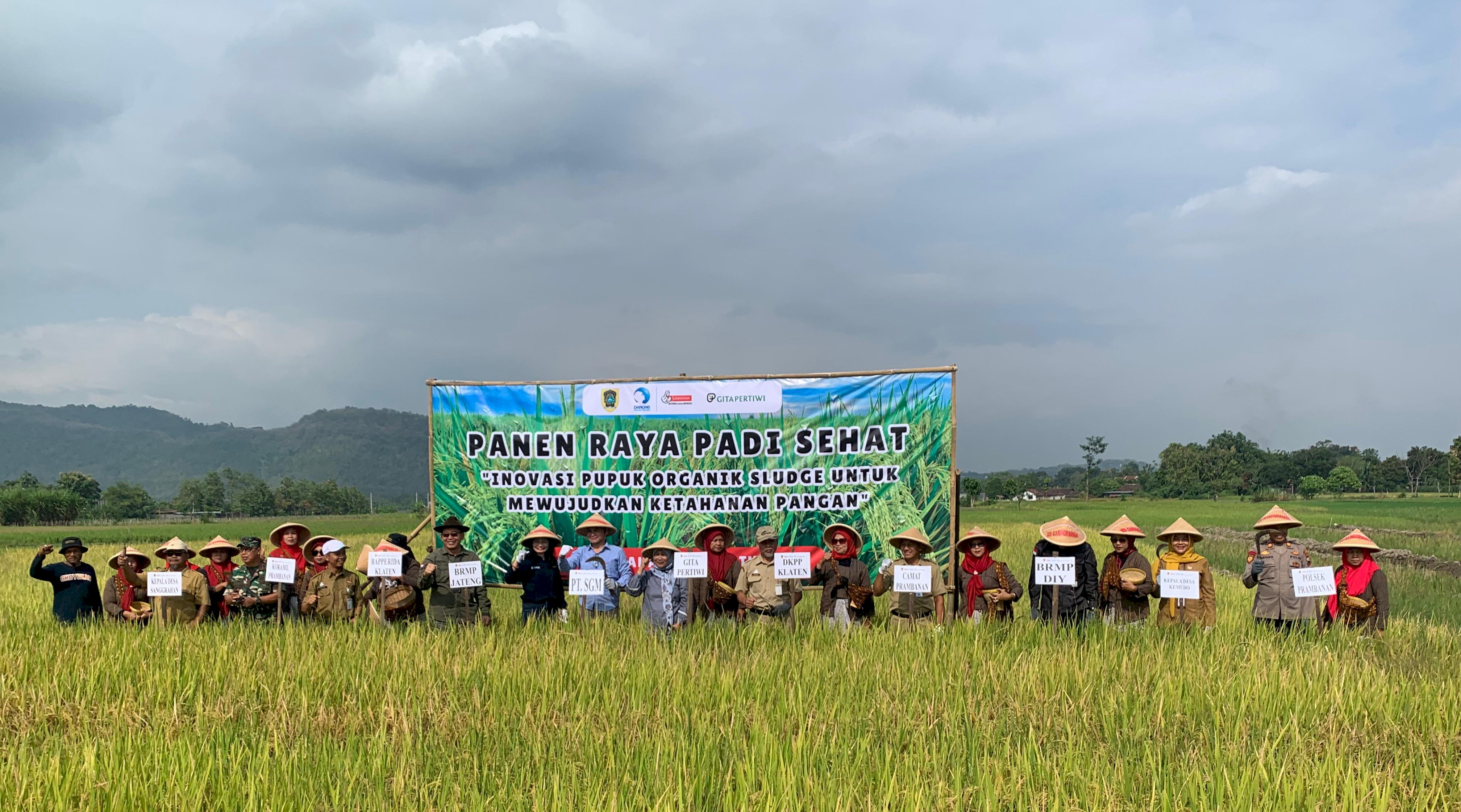 PANEN RAYA PADI SEHAT