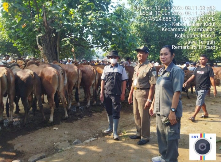 KEGIATAN PEMANTAUAN STOK HEWAN KURBAN MENJELANG HARI RAYA IDUL ADHA 2024 