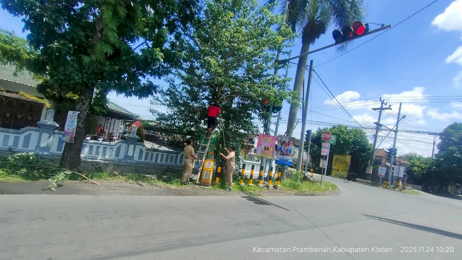 Penertiban Pohon yang mengganggu Lalulintas pengendara di Jalan Manisrenggo