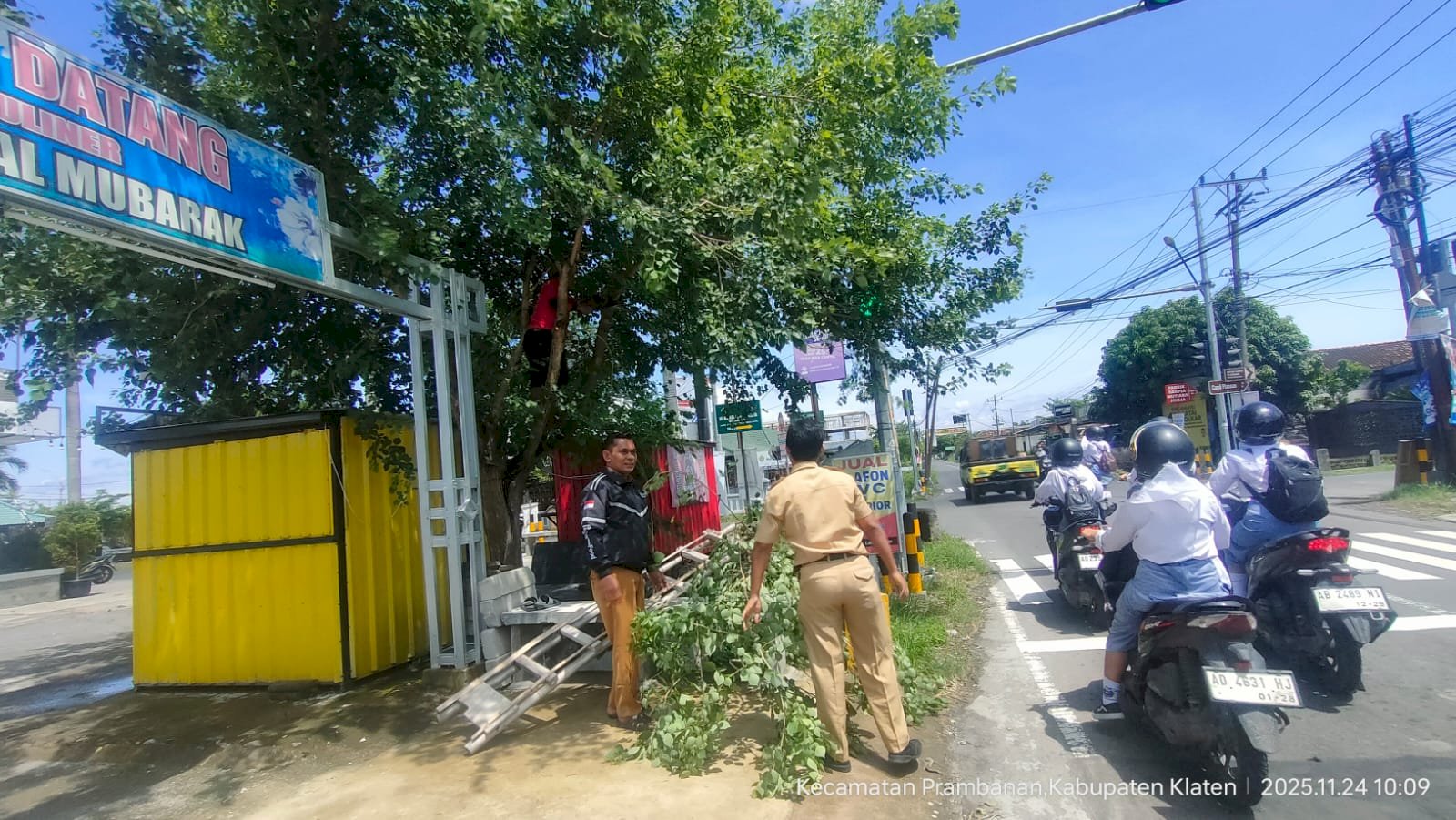 Penertiban Pohon yang mengganggu Lalulintas pengendara di Jalan Manisrenggo